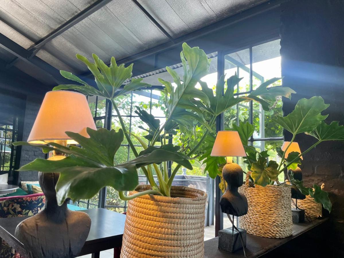 Le Reve Boutique Hotel Tulbagh Bagian luar foto