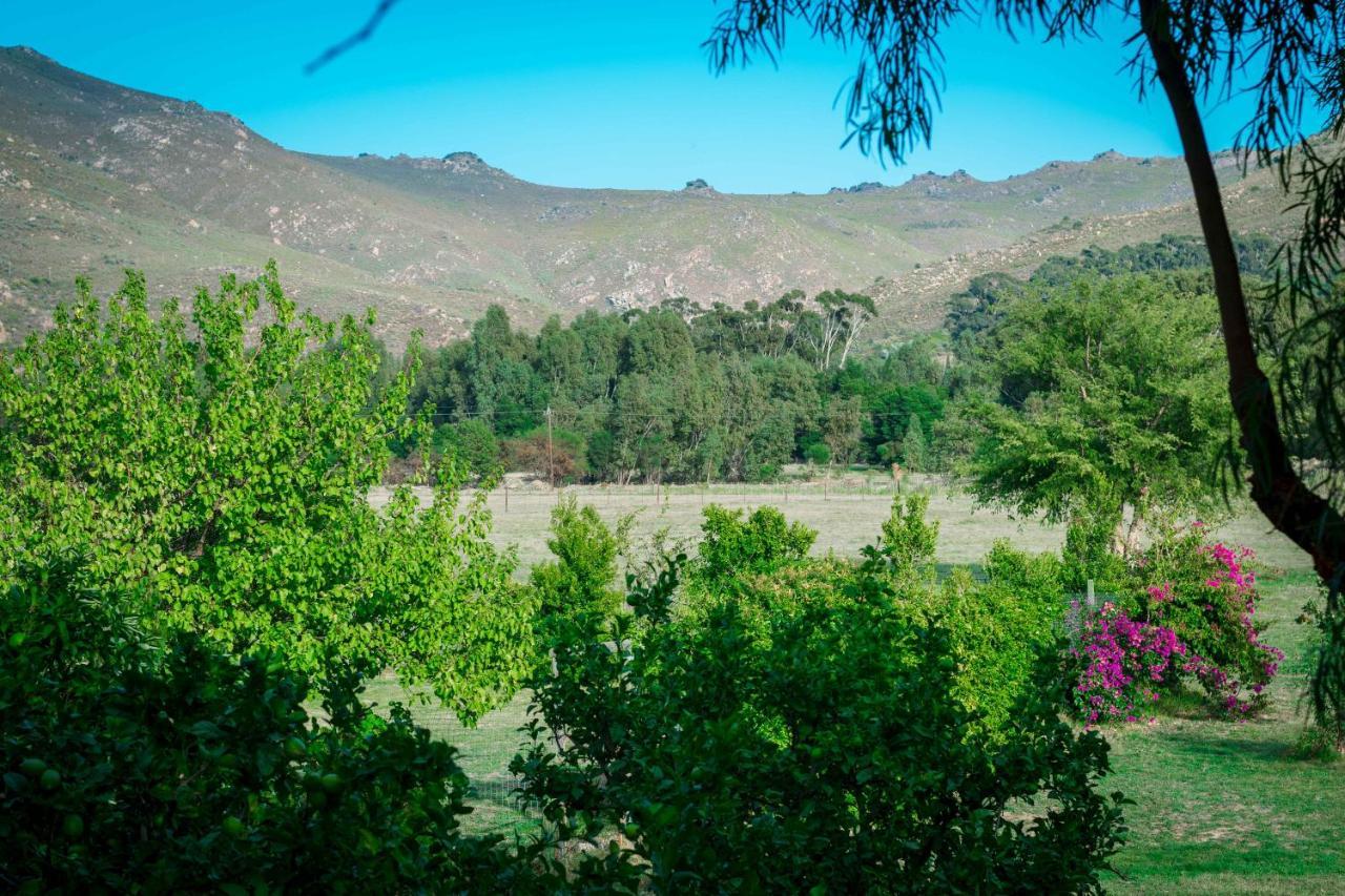 Le Reve Boutique Hotel Tulbagh Bagian luar foto